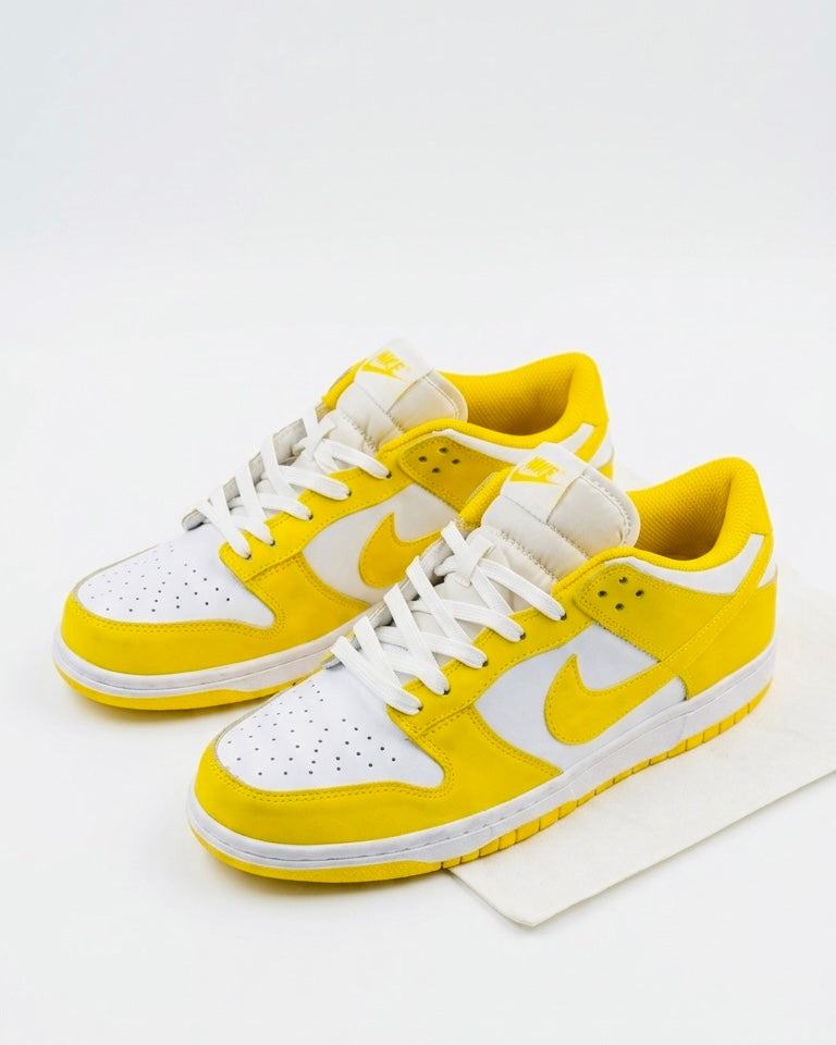 Nike Dunk Low Sneakers