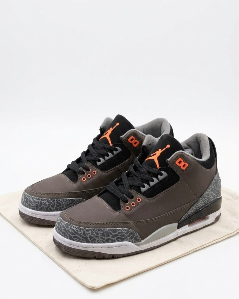 Nike Jordan 3 Sneakers