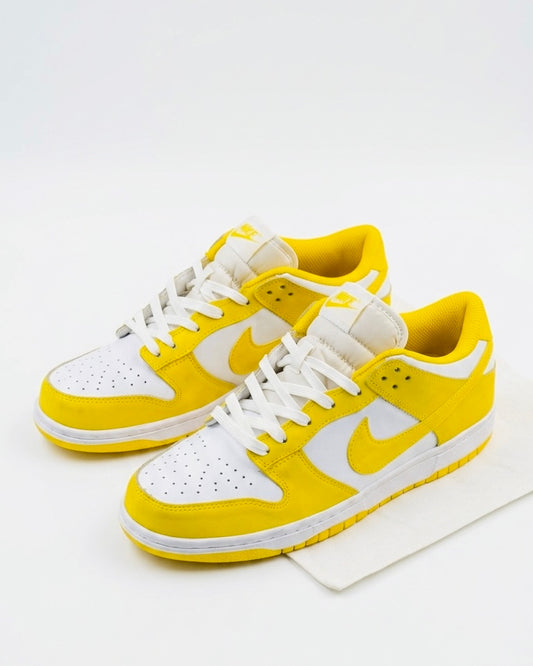Nike Dunk Low Sneakers